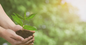 Green Living for Better Health