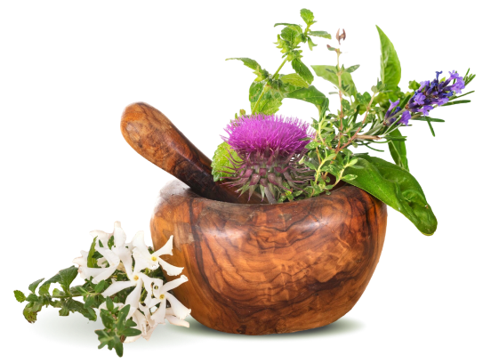 Ayurvedic Medicine